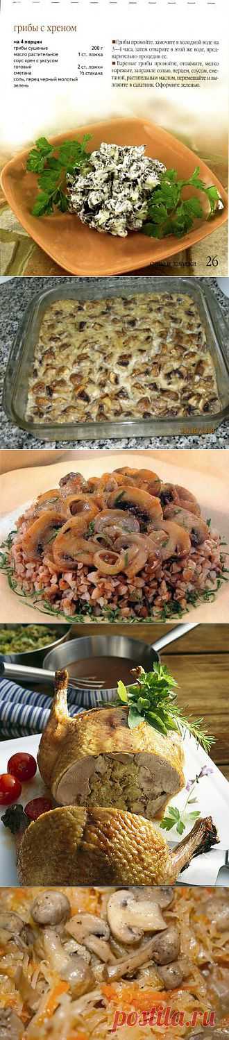 Рецепты блюд с грибами