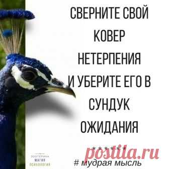 Елена Сергиенко - Google+