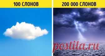 18 удивительных фактов, которые вы не сможете выбросить из своей головы