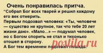 Красота притчи заключается в том, что она просто дает людям намек на то, каким все должно быть. - interesno.win “Собрал Бог всех тварей и решил каждому его век отмерить. Первым подозвал...