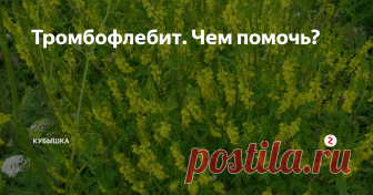 Тромбофлебит. Чем помочь? Еще одно заболевание, которое последнее время приобрело поистине угрожающие масштабы. Причем зачастую, на первичные симптомы практически никто не обращает внимания. Хотя последствия бывают крайне неприятными. Речь идет о тромбофлебите.
Обычно я не описываю симптомы, потому что при заболеваниях лучше сразу обратиться к врачу и хотя бы выяснить, какое именно у вас заболевание.
Но в данном случае я о