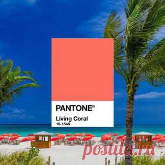 PANTONE on Instagram: “Pantone is excited to celebrate PANTONE 16-1546 Living Coral as the 2019 Color of the Year in partnership with @TributePortfolio. The…” 106.5k Likes, 2,271 Comments - PANTONE (@pantone) on Instagram: “Pantone is excited to celebrate PANTONE 16-1546 Living Coral as the 2019 Color of the Year in…”