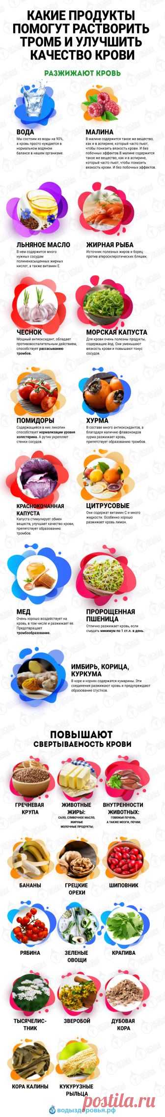 Какие продукты помогут растворить тромб и улучшить качество крови