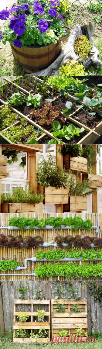 Идеи для контейнерных садов и огородов на небольшом участке | 6 соток