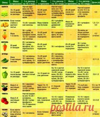 Таблицы подкормок овощей