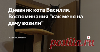 Дневник кота Василия. Воспоминания 