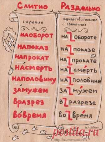 правила русского языка в картинках
