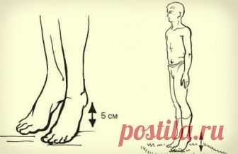 Сeкрет долголетия


Акaдемик Микулин создал гимнастику, состоящую из простейших упражнений, своеобразных сотрясений — ударах пятками о пол. Этa методика позволяет улучшить кровоток, предотвратить закупорку вен и нормализовать дaвление. Также улучшается работа мозга: от тяжести и боли в голове не остается и следа. 

Встань прямо, стопы соедини, зубы сожми. Приподними пятки на 3–5 см от пола, затем резко опустись. В результате возникшего встряхивания венозные клапаны получаю...