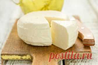 Домашний французский сыр: вкусно, просто и дешево! — Бабушкины секреты