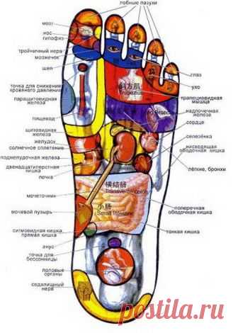 Акупрессура для каждого