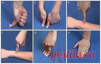 Лечим себя. Упражнения для пальцев (шиацу). 
Наши пальцы могут лечить наше тело.
Гибкость и подвижность пальцев свидетельствует о состоянии внутренних органов.Причём каждый палец отвечает за определенные органы.
В японской лечебной системе шиац…
