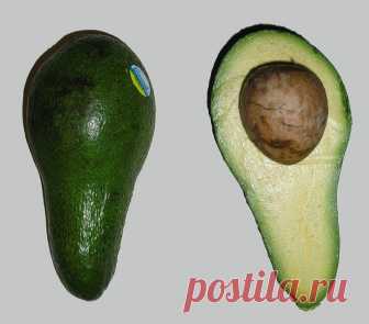 Ученые доказали вред авокадо Люди, которые активно придерживаются здоровому образу жизни считают, чт авокадо является одним из самых полезных и насыщенных плодов.