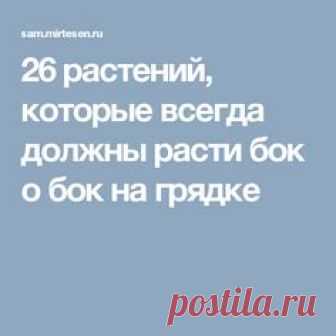 26 растений, которые всегда должны расти бок о бок на грядке