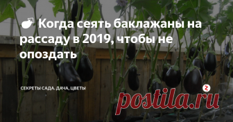 🍆 Когда сеять баклажаны на рассаду в 2019, чтобы не опоздать Баклажаны, или 