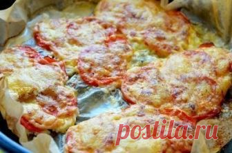 Куриные отбивные в духовке.
Куриные отбивные в духовке – это то блюдо, которое идеально подойдет на праздничный стол. Вкусно, быстро и просто.
Ингредиенты
Куриное филе – 600 г
Лук – 1 шт.
Помидоры – 5 шт.
Сыр – 250 г
Майонез – 4 ст.л
Соль – по вкусу
Чёрный перец молотый – 1/4 ч.л
Куриное филе (грудка) разрезать поперёк на куски толщиной 2 сантиметра.
Выложить куски на разделочную доску и отбить кулинарным молотком с двух сторон. Отбивные увеличатся в размере и станут ...