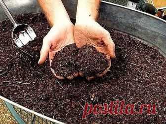 Лучшие удобрения для овощей
1.Хлебная закваска для огурцов
Чтобы получить богатый урожай огурчиков,нужно их регулярно подкармливать! Для этого отлично подойдет хлебная закваска. Приготовить ее просто! Наполните ведро на 2/3 нарезанными корочками черного хлеба и залейте водой. Придавите чем-нибудь тяжелым.Иначе корки будут всплывать, когда хлеб начнет закисать. Поставьте ведро в теплое место на неделю. Затем разбавьте закваску 2л воды. И полейте этим хлебным средством огу...