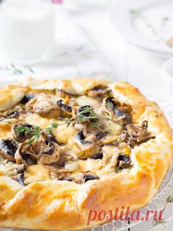 Открытые пироги с грибами, сыром, помидорами: 3 рецепта. Домашние пироги - с грибами, шпинатом, томатами Рецепты пирогов: тесто и начинка с моцареллой, рикоттой, шпинатом