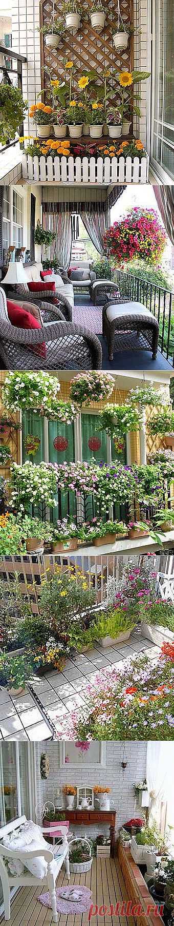 Цветы на балконе: 16 вариантов дизайна балкона - Учимся Делать Все Сами