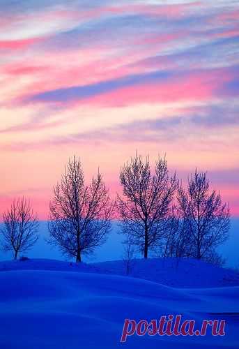 Early Morning Pink, Calgary, Alberta, Canada ♥  | Karen Badcock приколол(а) это к доске Winter Scenes <3