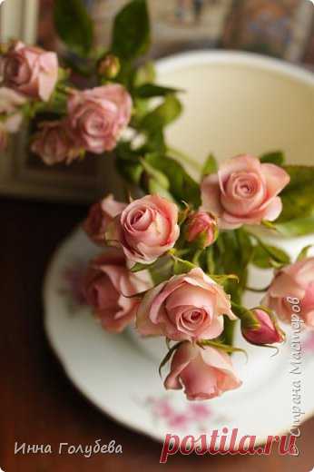 Кустовая роза из холодного фарфора. МК. | Страна Мастеров