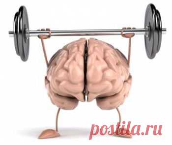 Тренировка мозга: упражнения. Тренировка мозга и памяти - FB.ru