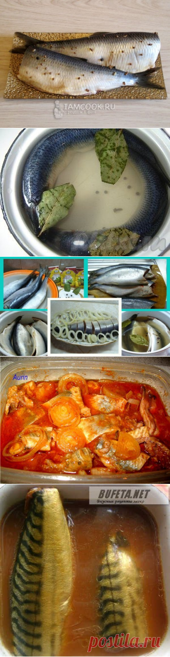 12 способов засолить рыбу дома