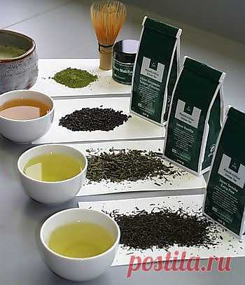 Зелёный чай - польза и вред для организма человека / Домоседы