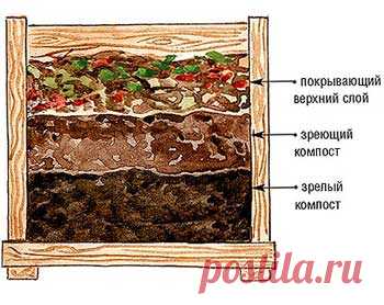 Компост на участке, как вылечить компостную кучу