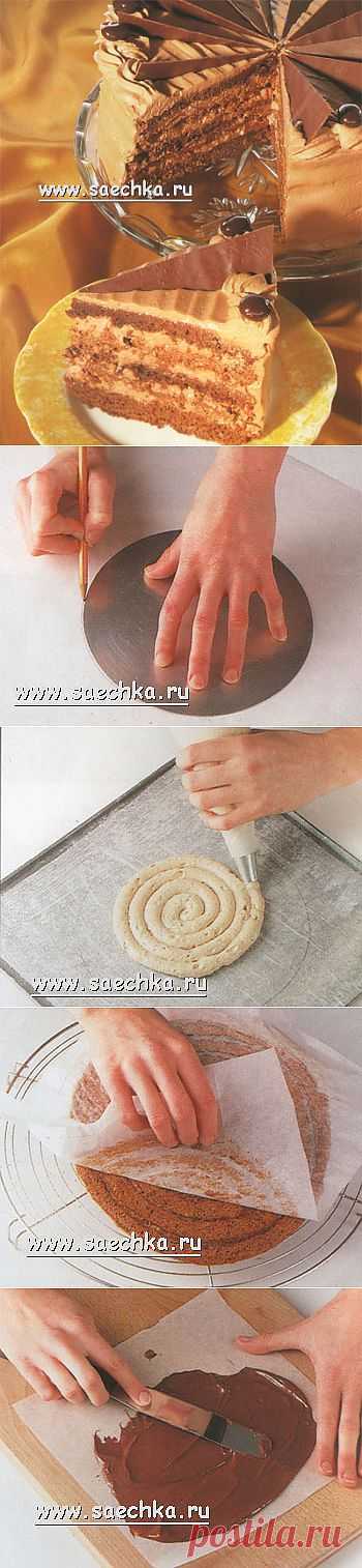 Торт Мокко | Saechka.Ru - рецепты с фото