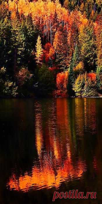 ✯ Autumn Color - North Carolina | Nature's Beauty