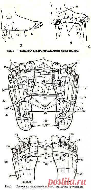 Индийский массаж стоп. Практическое пособие.