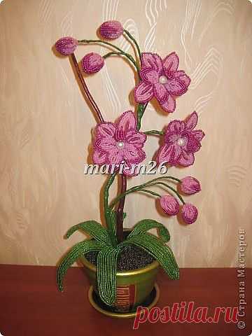 Орхидея из бисера. Фото мастер-класс.