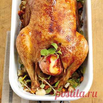 Как приготовить гуся в духовке

К Рождеству рецепт Как приготовить гуся в духовке и советы по покупке и готовке птицы