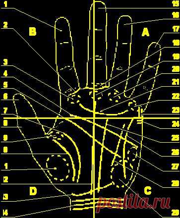 Гадание по руке