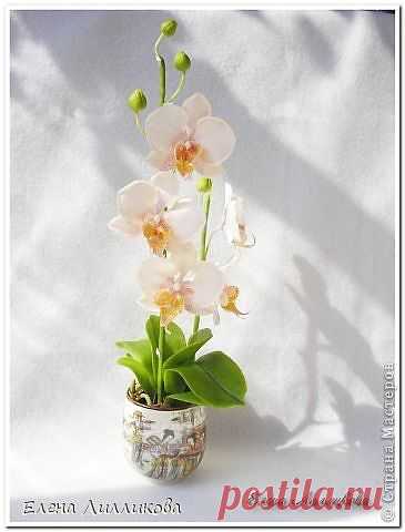 Керамическая флористика. Видео по лепке орхидеи из полимерной глины.