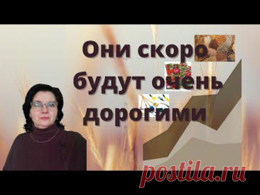 Продукты и товары, которые могут оказаться дороже золота.