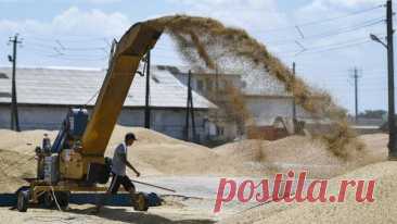 Лавров прокомментировал попытки ЕС запретить импорт зерна с Украины