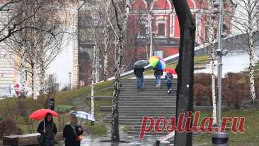 В Гидрометцентре рассказали о погоде в Москве до конца недели. В течение всей недели, включая субботу, формировать погоду в Москве будет циклон. Практически каждый день будут идти дожди, а температура воздуха опустится ниже, чем неделей ранее, но все равно превысит норму, рассказал RT научный ...