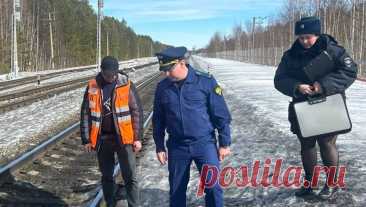 В Сургуте школьник попал под грузовой поезд и выжил. В Сургуте грузовой поезд наехал на подростка, мальчика с закрытой черепно-мозговой травмой увезли в больницу. Об этом сообщает Уральская транспортная прокуратура в Telegram-канале. Инцидент произошел на переезде Сургут-Силинский 16 ...