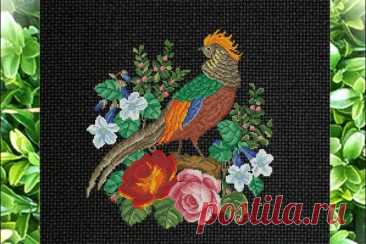 Vintage Cross Stitch Scheme Pheasant 8 (1985191) | Cross Stitch | Design Bundles Download Vintage Cross Stitch Scheme Pheasant 8 (1985191) today! We have a huge range of Cross Stitch products available. Commercial License Included.