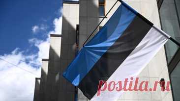 Эстония расторгнет договор о сотрудничестве с Россией в сфере образования