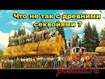 Что не так с древними секвойями Калифорнии?