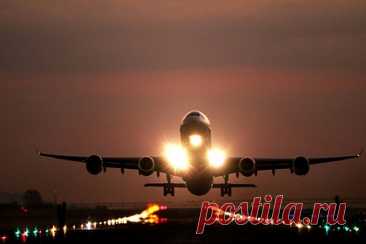 Полторы сотни пассажиров из Москвы застряли в аэропорту Абу-Даби