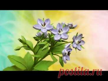 ABC TV | How To Make Borage Flower - Paper Quilling - Craft Tutorial