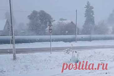 Мощный снегопад в российском регионе попал на видео