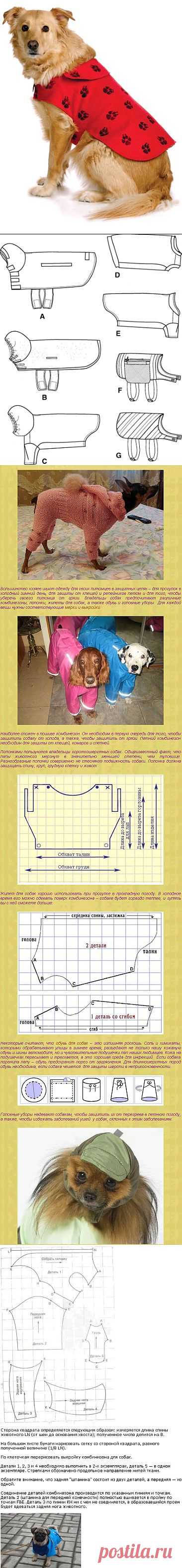 ОДЕЖДА ДЛЯ СОБАК СВОИМИ РУКАМИ | Выкройки комбинезона и попоны | Мастер класс | Рукоделие