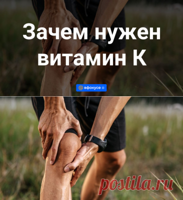 Стало известно, почему пожилые медленно двигаются - ВФокусе Mail.ru
