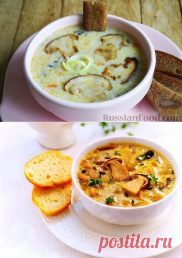 Карельский суп из белых грибов и подосиновиков