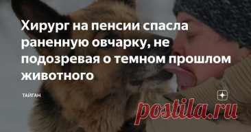 Хирург на пенсии спасла раненную овчарку, не подозревая о темном прошлом животного Статья автора «Тайган» в Дзене ✍: Екатерину Федоровну в городе знали многие. Больше тридцати лет она проработала в местной больнице в отделении хирургии.