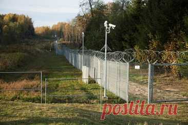В Литве захотели укрепить охрану границы с Россией «испанскими лошадьми»
